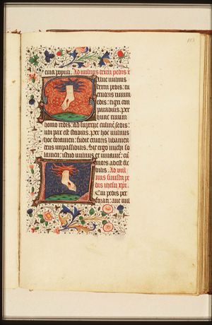Christ's stigmata: the right foot