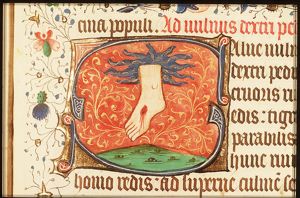 Christ's stigmata: the right foot