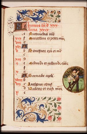June: a man picking fruits