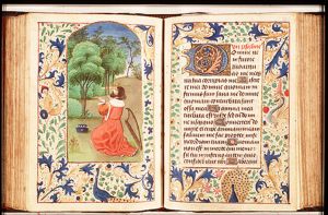 David at prayer