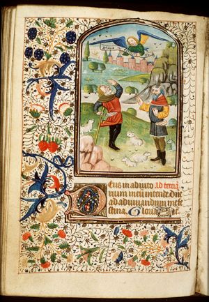 The annunciation of Christ's birth to the shepherds