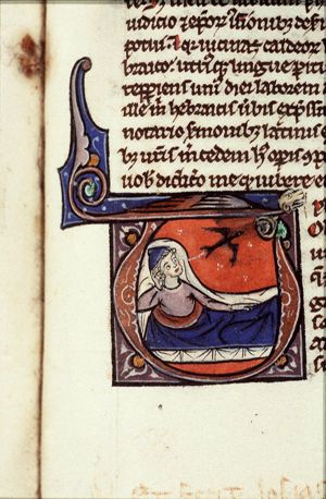 Tobit is blinded by a swallow's dropping