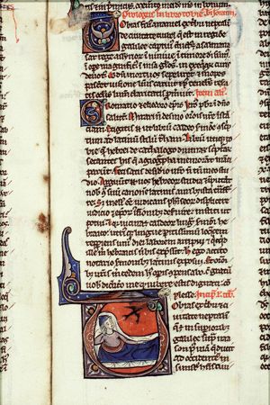 Tobit is blinded by a swallow's dropping