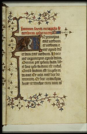 The symbol of the Evangelist St. John: the eagle