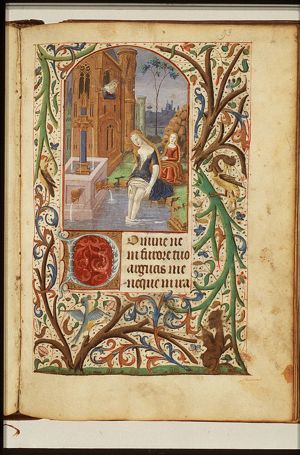 David sees Bathsheba bathing from a window of his palace