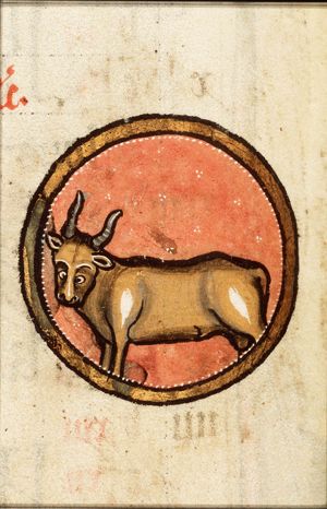 April: Taurus
