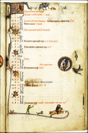 May: falconers