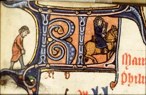 May: falconers