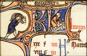 June: men shearing sheep