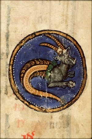December: Capricorn