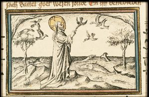 The Creation: birds and fishes