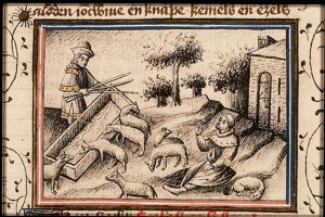 Jacob puts peeled rods in the animals' drinking-troughs to make the beasts bear spotted young