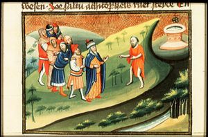 Hushai, in rent clothes, offers his services to David