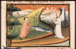 Tobias removes the heart, liver and gall of the fish