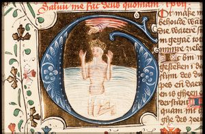 David in the water