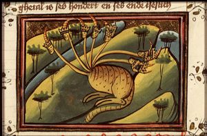 The dragon with seven heads
