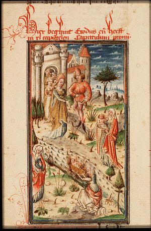 Moses is exposed in his basket and found by the daughter of Pharaoh