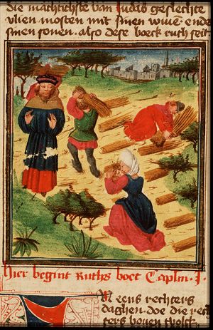 Ruth gleaning in the field of Boaz