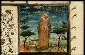 The Creation: birds and fishes
