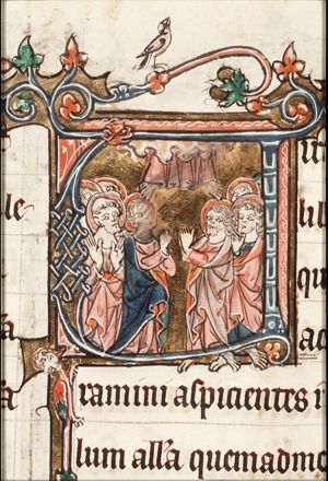 The Ascension: Christ ascends into heaven above the apostles