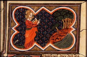 The Creation: division of sea and earth; creation of trees and plants