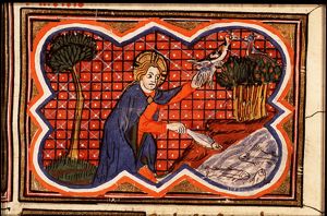 The Creation: birds and fishes