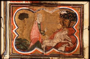 The Creation: beasts of the field and Adam