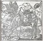 Emblem illustration for I vi 24