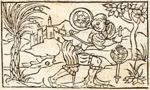 Emblem illustration for IV iv 63