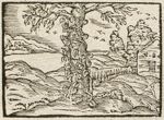 Emblem illustration for IV ix 89