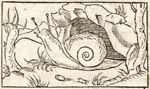 Emblem illustration for I vi 87