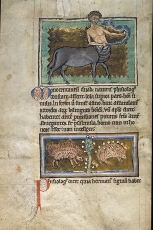 Centaur holding a snake