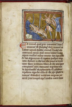 Unicornis (a unicorn), its head in a woman's lap, is stabbed with a sword and a spear by hunters