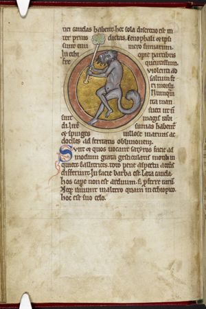 Satyr
