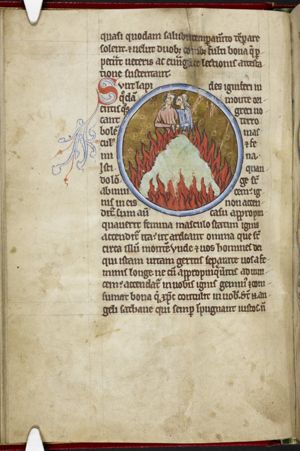 Lapides igniferi - Fire-stones: a man and a woman embracing over a fire