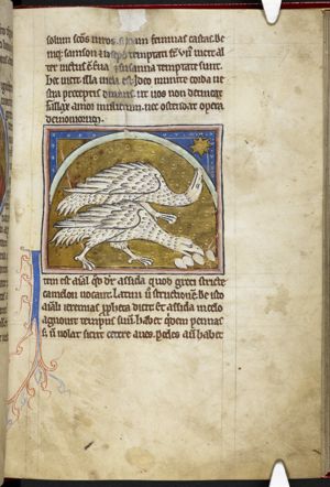 Assida (ostrich), one breathing over eggs, the other looking at a star