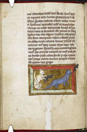 Cats and mice
