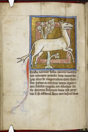 Leucrota (fabulous animal from India with an extremely wide mouth)