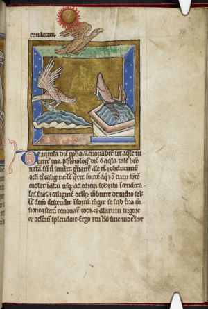 Eagles, one flying close to the sun, one diving in the water, one holding a fish