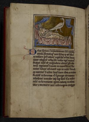 Caladrius, a fabulous bird, predicts the coming death of a sick man by turning its head aside