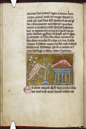 Phoenix erecting a funeral pyre for itself from small branches; Phoenix in a fire