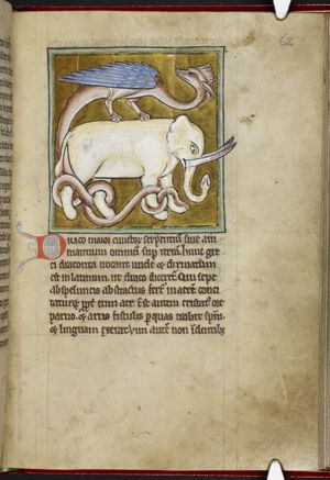 Elephant with a dragon on its back