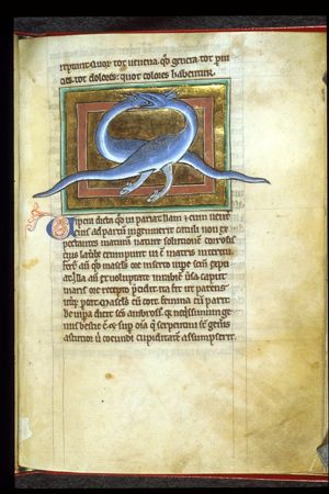 Serpents: vipera, snakes
