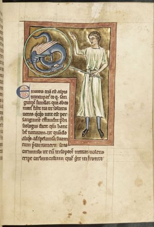 Man and dragon (a snake-charmer?)