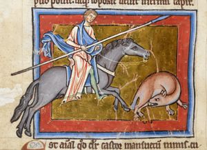 Castor (beaver) pursued by a hunter, bites off its own testicles