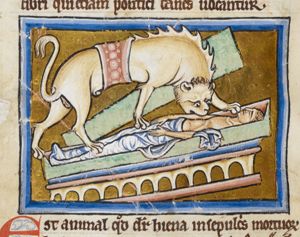 Hyena robbing a corpse from a grave