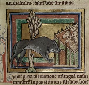 A wolf and sheep