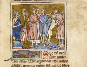 After the murder of his master, a dog guards the body; the dog identifies the murderer