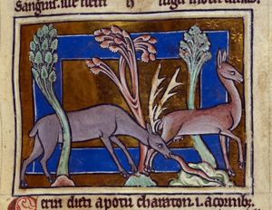 A roe and a stag, bitten by a snake