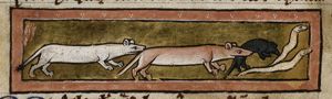Weasel, mouse and worms